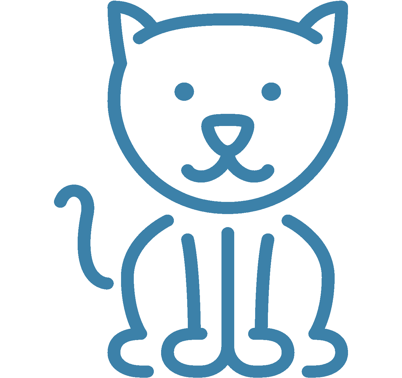 transition alimentaire chez le chat